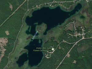 Avery Lake Homes and Land for Sale